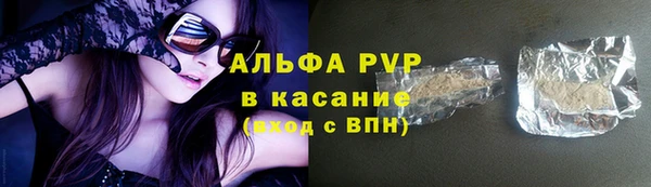 стаф Абинск