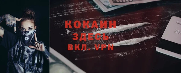 стаф Абинск