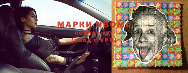 стаф Абинск