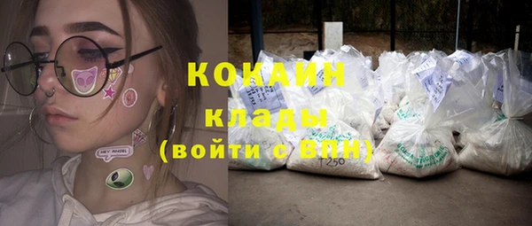 стаф Абинск