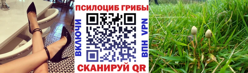 Галлюциногенные грибы прущие грибы  Воронеж 